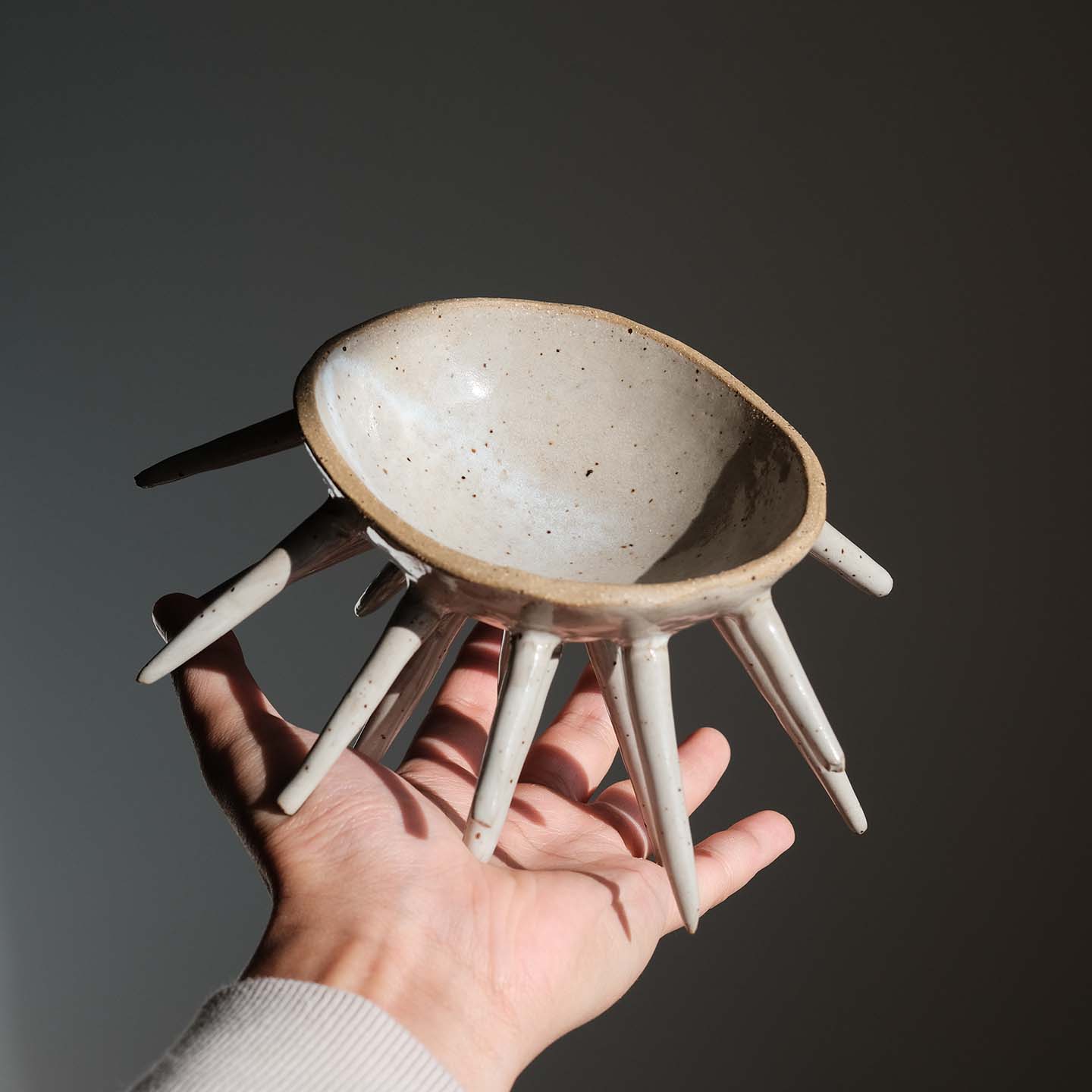 sea urchin bowl 02