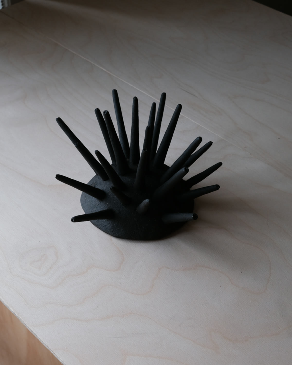 The empty bowl seen from above on a plywood surface, spikes fanning out
